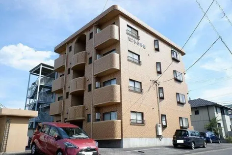 セントラル錦の画像