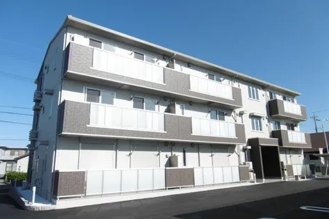 ノール椿の画像