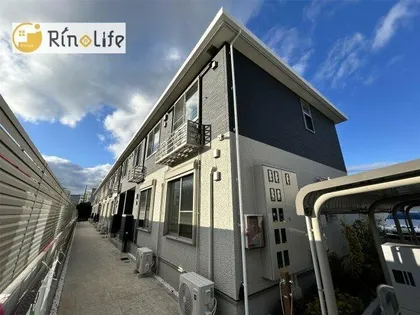 フロリアの画像