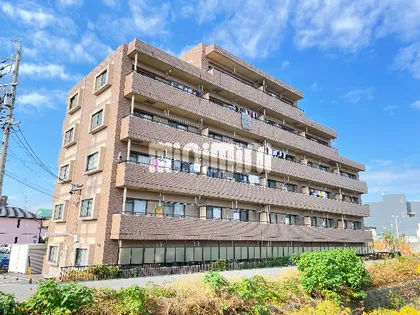 オータムライトIIIの画像