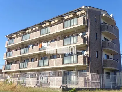 サンシャインロードMの画像