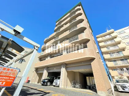 ルネスコザワの画像