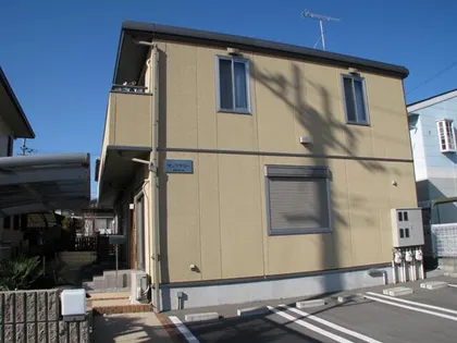 サンフラワーの画像