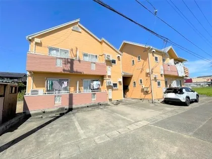 シャルムYの画像