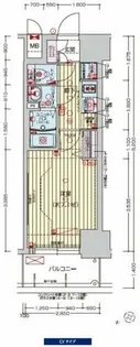 プレサンスOSAKA DOMECITY クロスティ【11階】の間取り