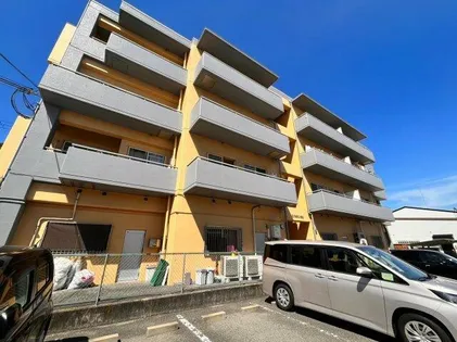 エクセラン今田の画像