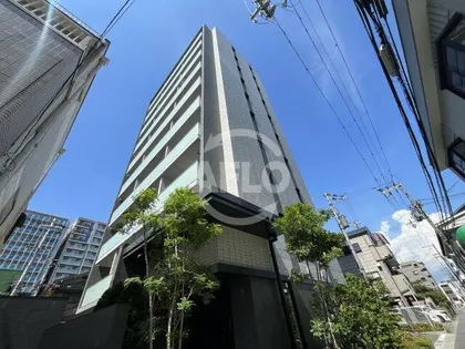 ブランカイズミの画像