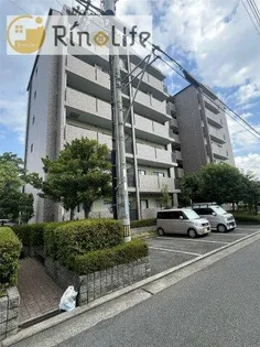 エオリアンハープの画像