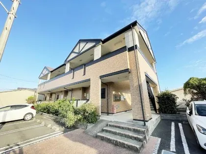 ファインリブAの画像