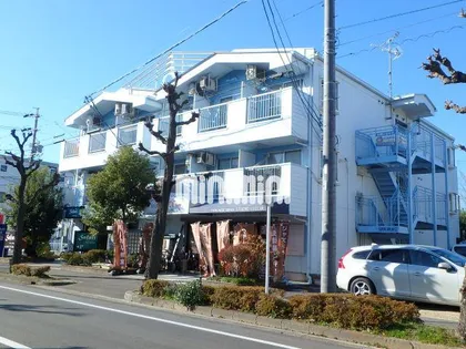 SURFER DREAMの画像