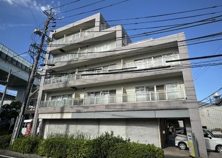 ステップフィールドの画像