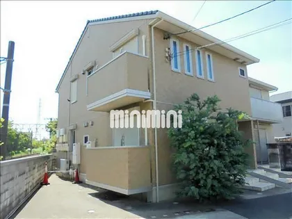 ガーデン アカシアの画像