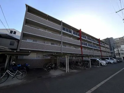 アリエスの画像