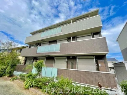 昴フィーアの画像