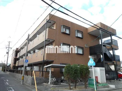 アンプルール フェール 縁Ⅱの画像