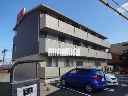 オリーブ錦の画像