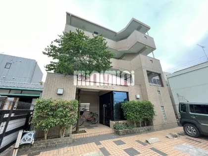 AVENIRの画像