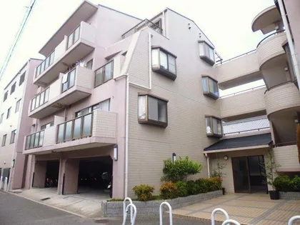 マニーフィーコ&アルファの画像