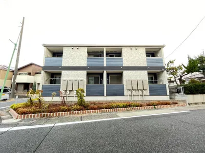 バーベナの画像