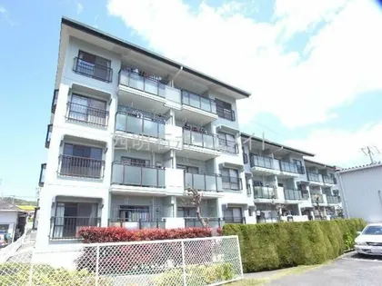 リバーグリーン藤村【3階】の外観