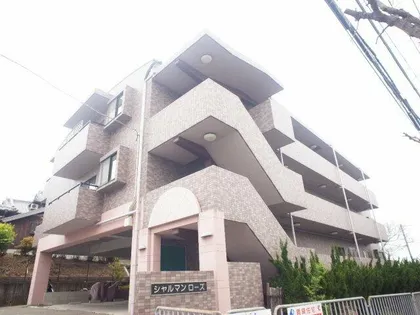 シャルマンローズの画像