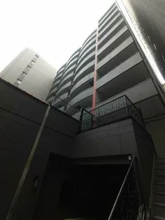 アバンダント釣鐘の画像