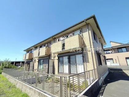 グレイシャス森の画像