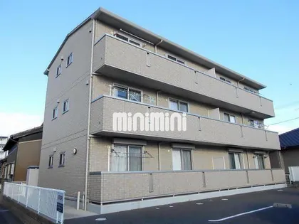 アムール中手の画像