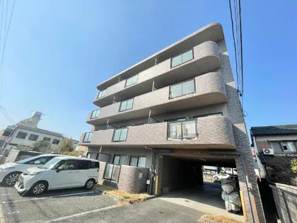 アムール正保の画像