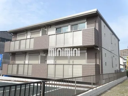 グラシアの画像