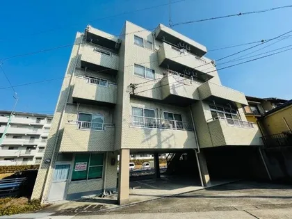 ソレイユカトウの画像