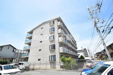 エバーグレイス森本の画像