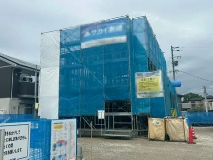 ステラ上挙母の画像