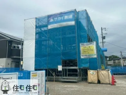 ステラ上挙母の画像