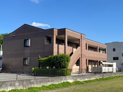 コンフォール アイの画像