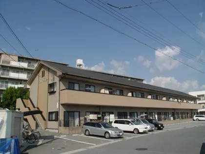 プレイン野里の画像