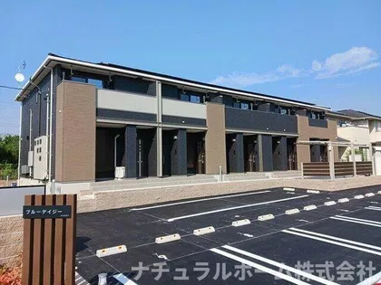 ブルーデイジーの画像