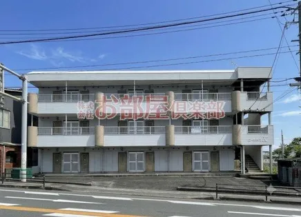 プチクローバーの画像