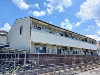 ティープラント朝日の画像