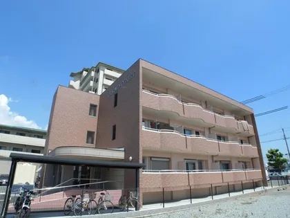 コスモコートの画像