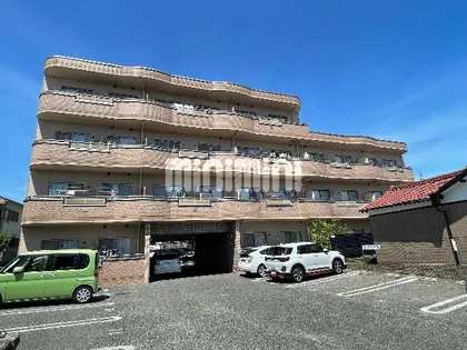 フォンティーヌⅡの画像