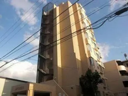 SKグレースの画像