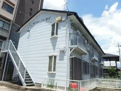 サンフォレスト森の画像