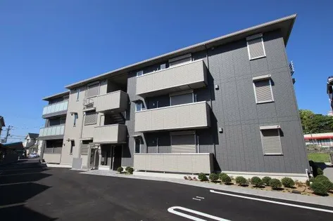 RAFFINATO金剛の画像