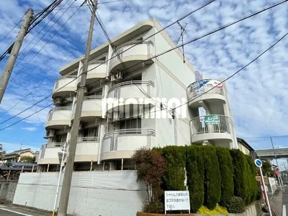 シャルムNの画像