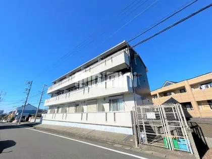 アルテールの画像