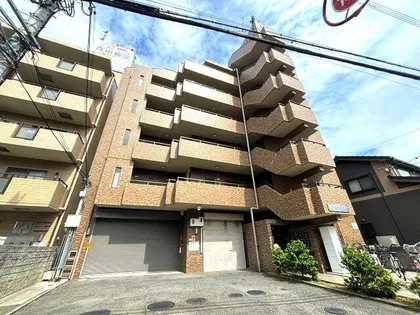 トレイズIIIの画像