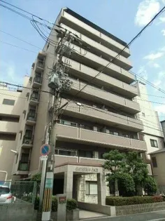 GATHERIA PACEの画像