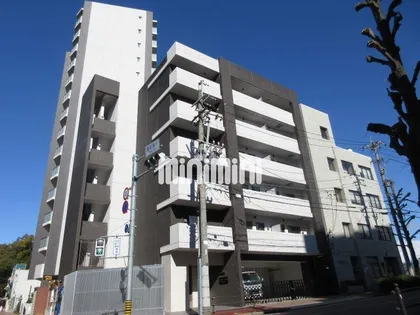 スティングレイつるまの画像