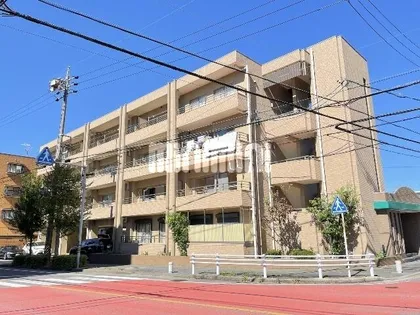 フォレスト ワンの画像